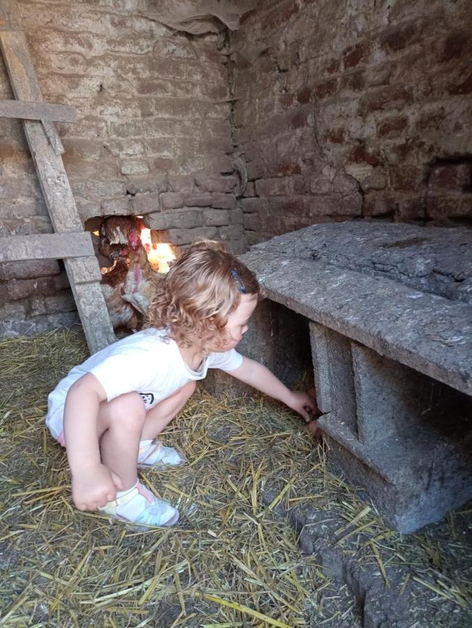 Gite A La Ferme Chez Magali Escaudoeuvres Exterior foto
