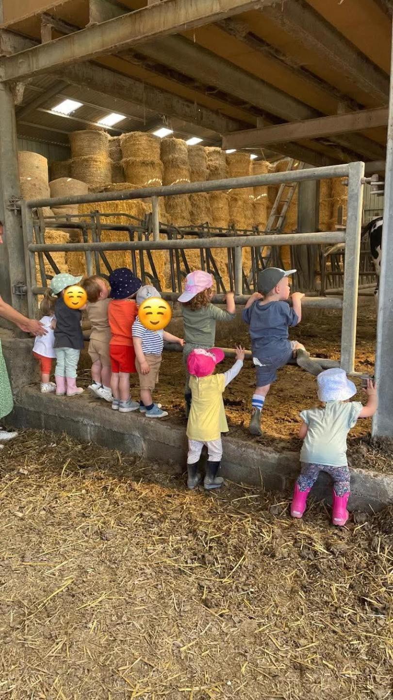 Gite A La Ferme Chez Magali Escaudoeuvres Exterior foto